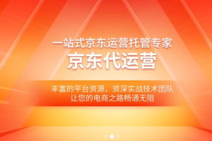 京东自营代运营|京商圈
